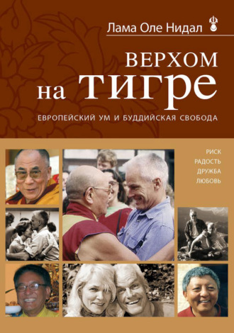 Оле Нидал, Верхом на тигре. Европейский ум и буддийская свобода